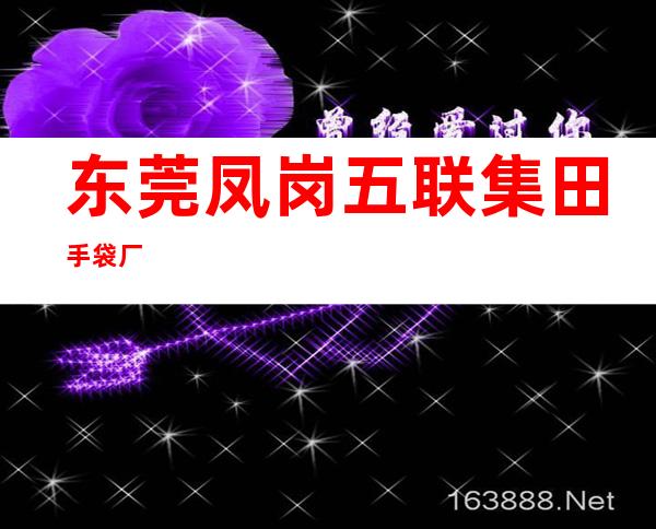 东莞凤岗五联集田手袋厂